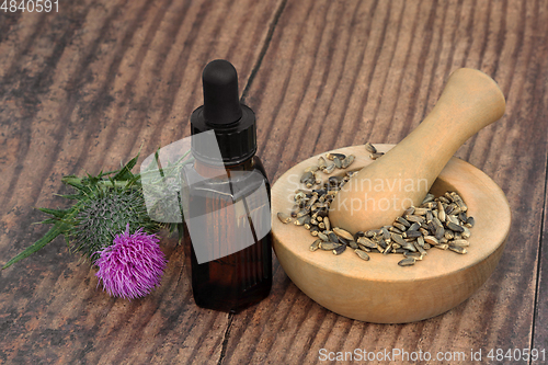 Image of Milkthistle Herb Use to Treat Liver Disorders