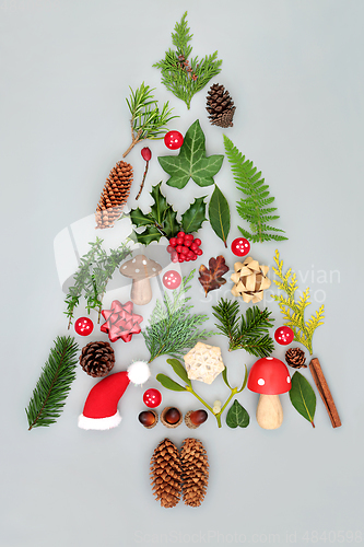 Image of Fantasy Winter Christmas Tree Concept