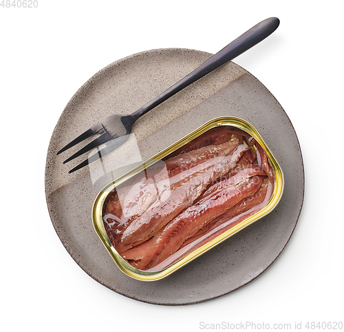 Image of canned anchovy fillets