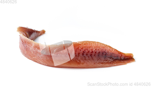 Image of canned anchovy fillet