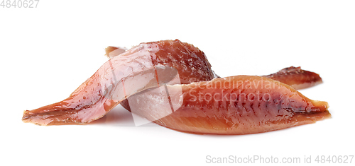 Image of canned anchovy fillets