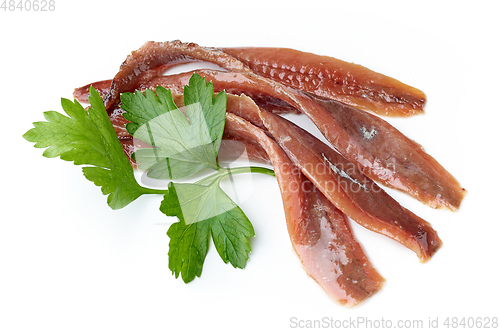 Image of canned anchovy fillets