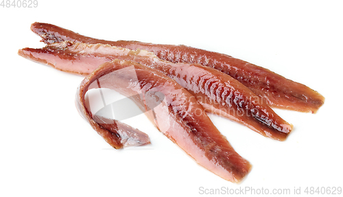 Image of canned anchovy fillets