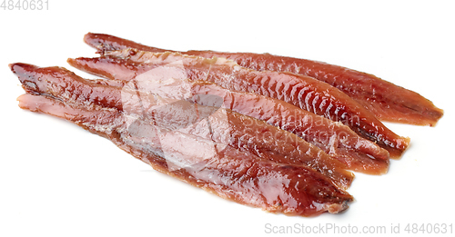 Image of canned anchovy fillets