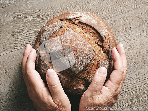 Image of freshly baked artisan bread