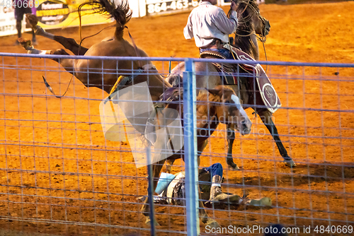 Image of cowboy rodeo championship in the evening