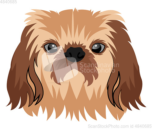 Image of Pekingese illustration vector on white background