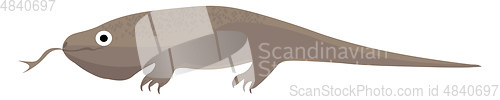 Image of Big monitor lizard vector or color illustration