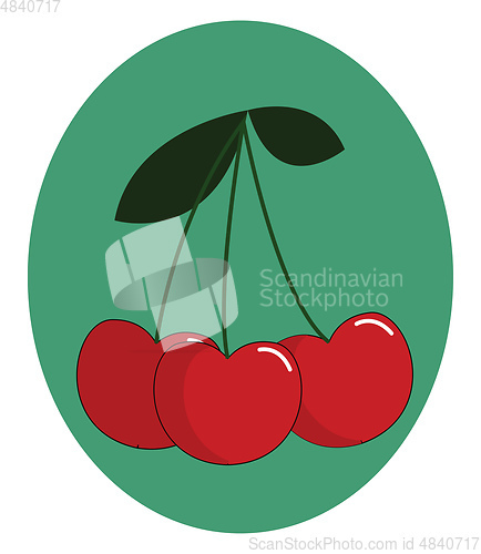 Image of Portrait of a bunch of cherries over green background vector or 