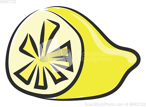 Image of Half lemon vector or color illustration