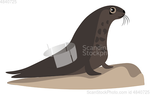 Image of A brown eager looking seal vector or color illustration