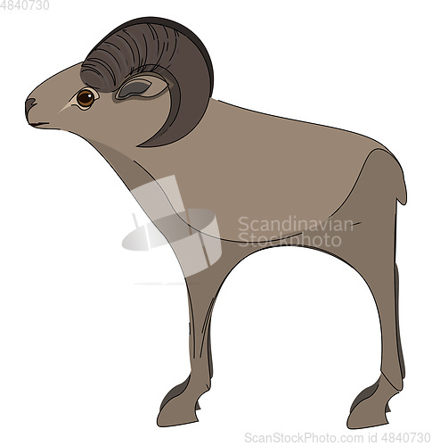 Image of A tall mouflon vector or color illustration