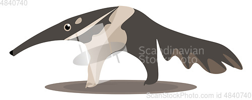 Image of An extant Anteater vector or color illustration