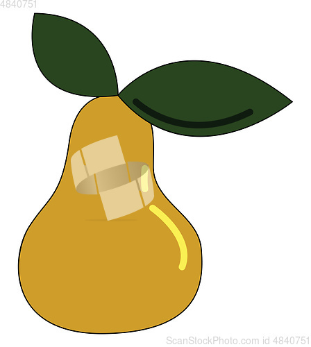 Image of A fresh ripe yellow pear vector or color illustration