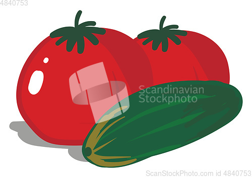 Image of Fresh tomato and cucumber 