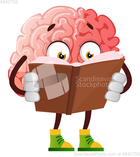 Image of Brain is reading a book, illustration, vector on white backgroun