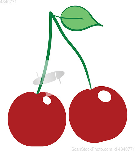 Image of Two small cherries vector or color illustration