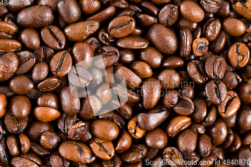 Image of Coffee bean texture