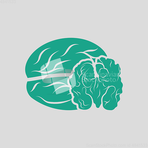 Image of Walnut icon