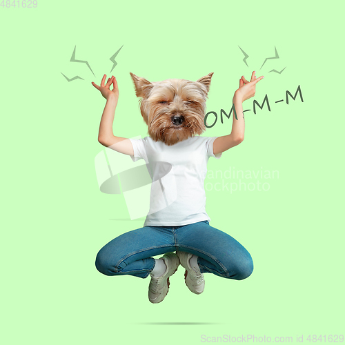 Image of Contemporary artwork, conceptual collage. Woman headed by dog head. Trendy colors.