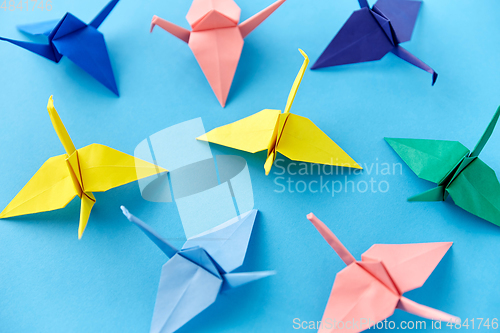 Image of origami paper cranes on blue background