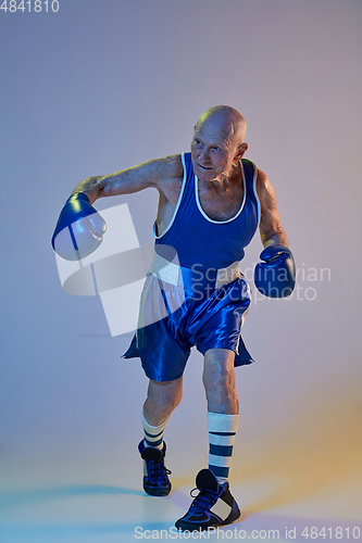 Image of Senior man wearing sportwear boxing isolated on gradient studio background in neon light. Concept of sport, activity, movement, wellbeing. Copyspace, ad.