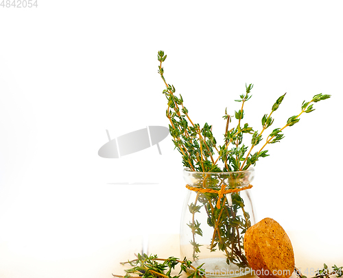 Image of fresh thyme on a glass jar