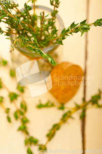 Image of fresh thyme on a glass jar