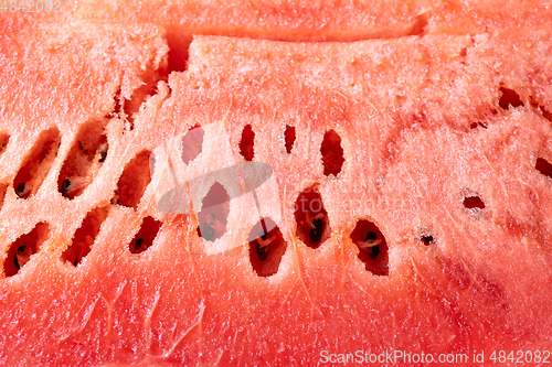 Image of watermelon texture background