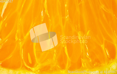 Image of orange pulp macro