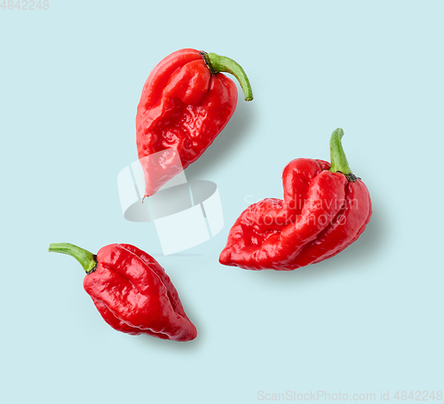 Image of hot red ghost peppers