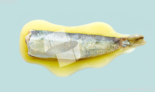 Image of canned sardine in oil