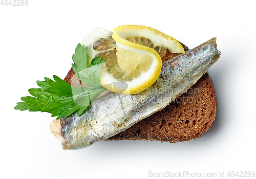 Image of canned sardine on bread slice