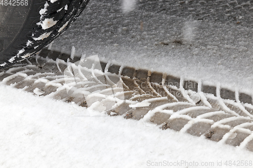 Image of Traces on the snow