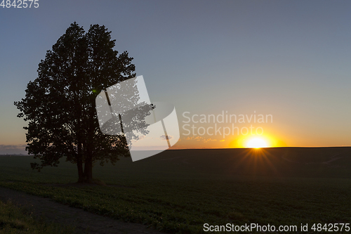 Image of the sky at sunset