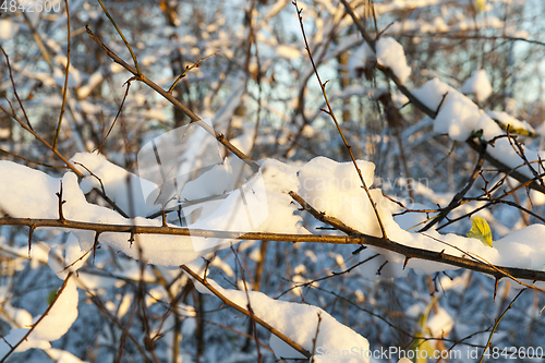 Image of Snow drifts in winter