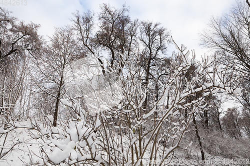 Image of Winter park with snow