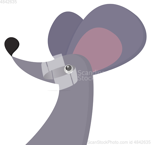 Image of Mouse with big ears vector or color illustration