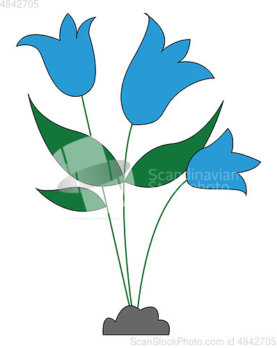 Image of Three blue flowers 