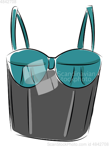 Image of Stylish corset vector or color illustration