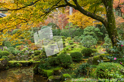 Image of Japanese garden with maple tree