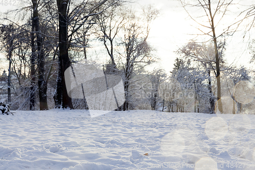 Image of Snow drifts in winter