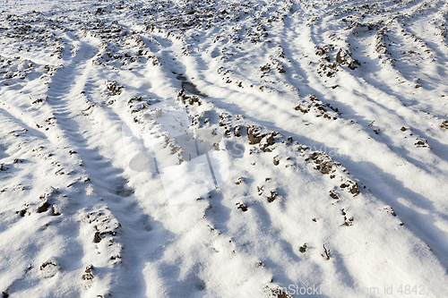 Image of Snow drifts on the ground