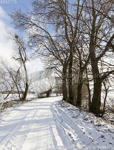 Image of Road in winter