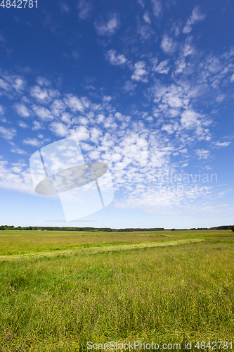 Image of spring landscape