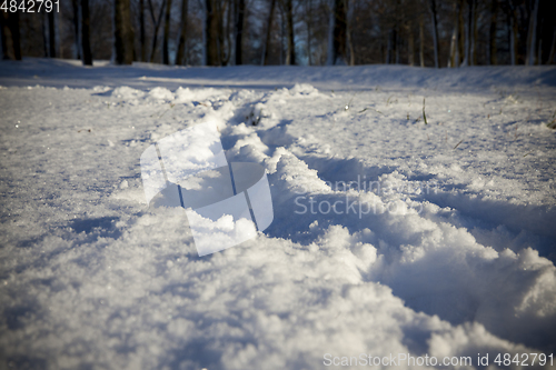Image of After snowfall