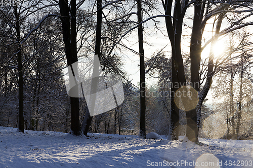 Image of Snow drifts in winter