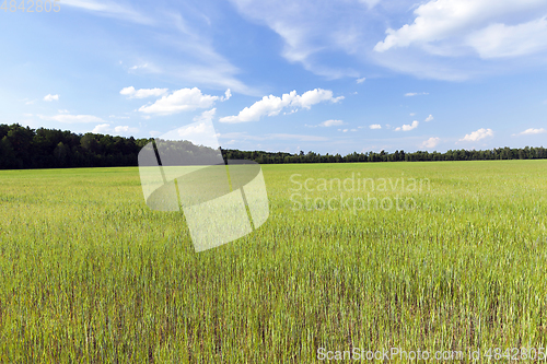 Image of agricultural field