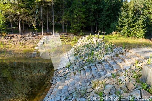 Image of pond in the summer forest