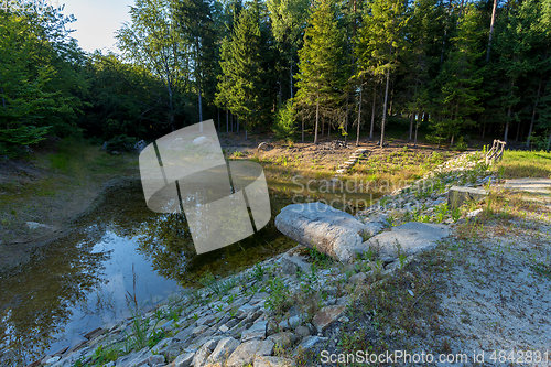 Image of pond in the summer forest